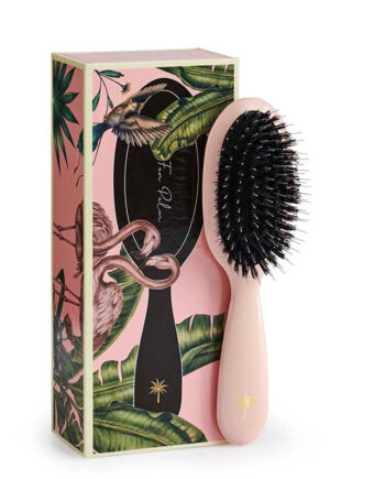 Fan Palm  Paradise Small   Hos Frisøren   Baronen