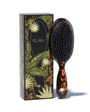 Fan Palm  Tortiose Medium   Hos Frisøren   Baronen