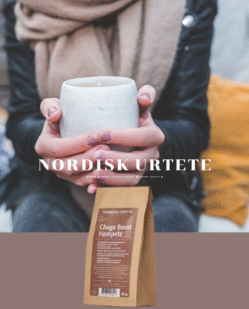 Nordisk Urtete   N 4   Chaga Boost Hampete