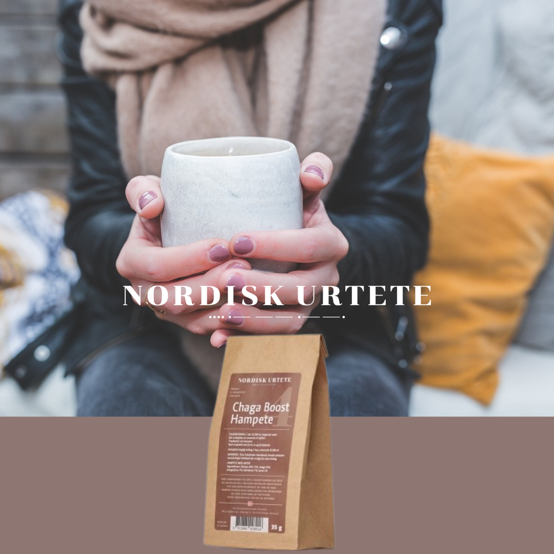 Nordisk Urtete N 4 Chaga Boost Hampete