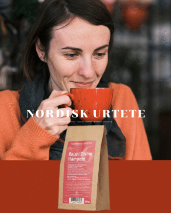 Nordisk Urtete   N 6   Reishi Divine Hampete
