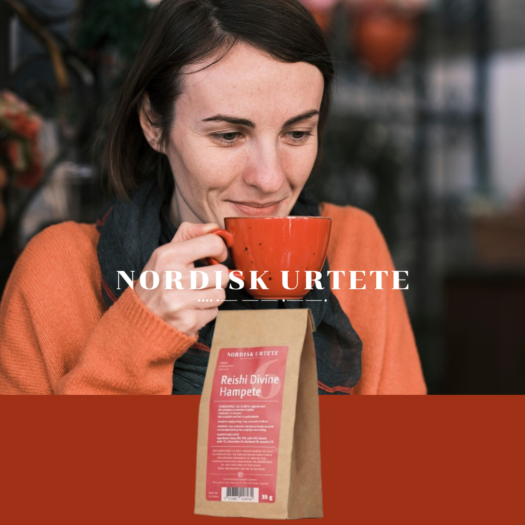 Nordisk Urtete N 6 Reishi Divine Hampete