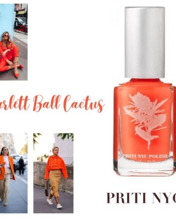 Priti Nyc   N 425   Scarlett Ball Cactus