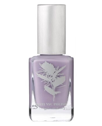 Priti Nyc   N 373 Wisteria
