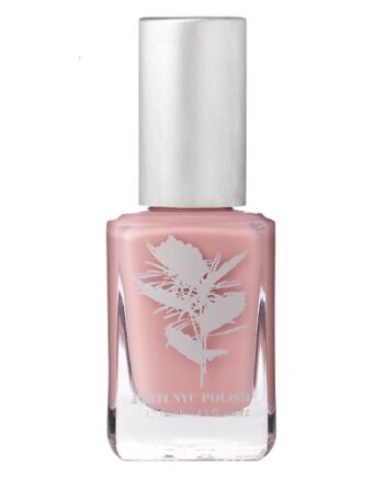 Priti Nyc   N 233 Compassion Rose