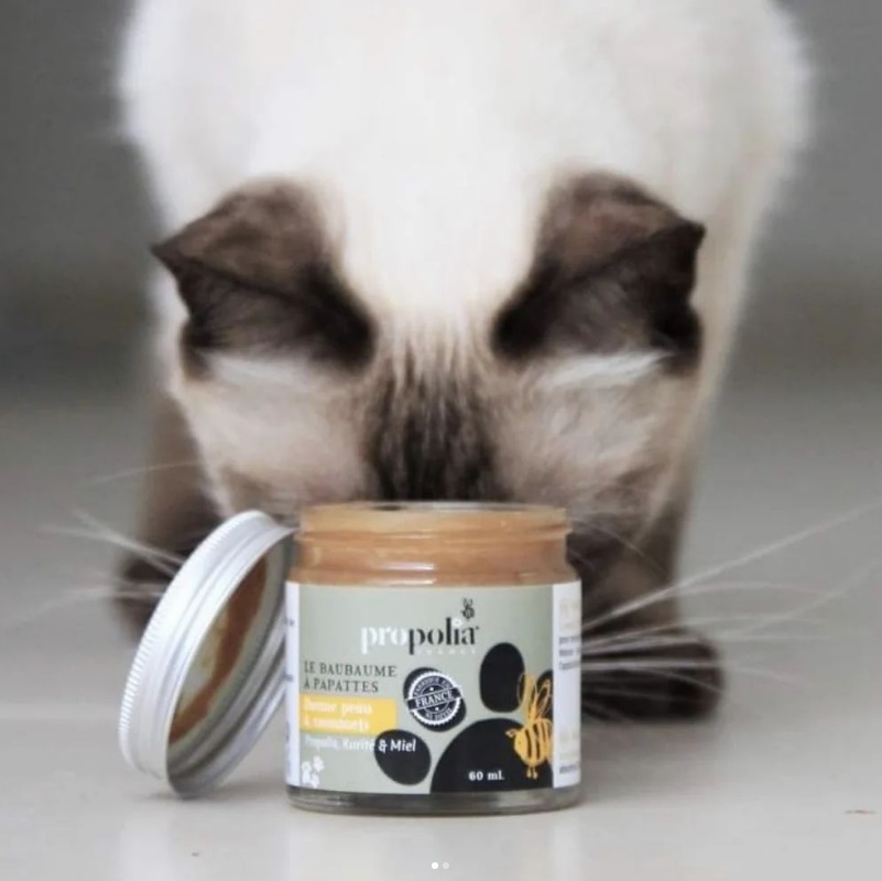 Propolia Skin Potepleje Til Hunde Katte