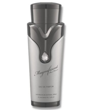 Armaf   Magnificent Pour Homme   100 Ml   Edp