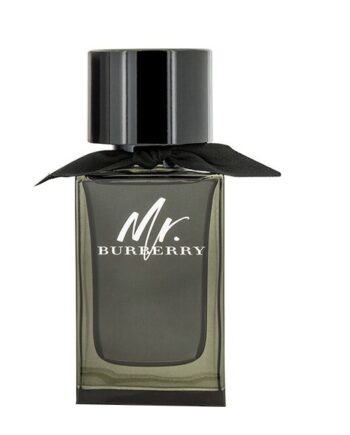 Burberry   Mr Burberry Eau De Parfum   100 Ml