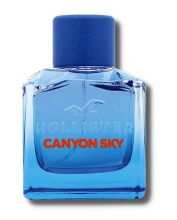 Hollister   Canyon Sky For Him   100 Ml   Edt