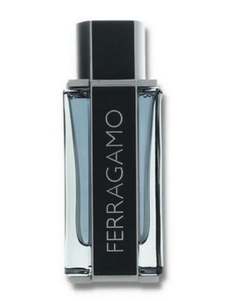 Salvatore Ferragamo   Intense Leather   100 Ml   Edp