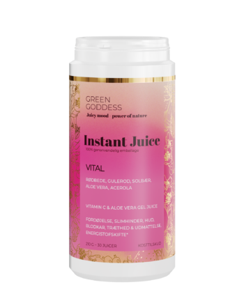 Vital Instant Juice  210 G