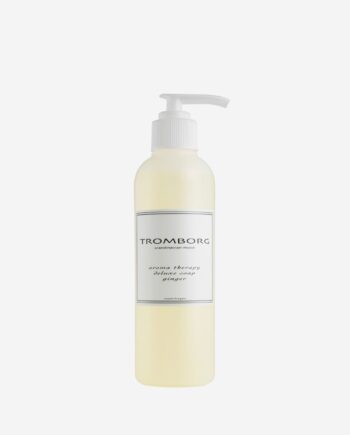 Aroma Therapy Deluxe Soap Ginger 200 Ml