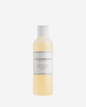 Bath   Shower Wash Ginger