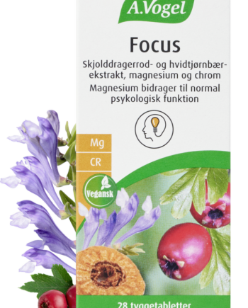 A  Vogel Focus  28 Tyggetabl