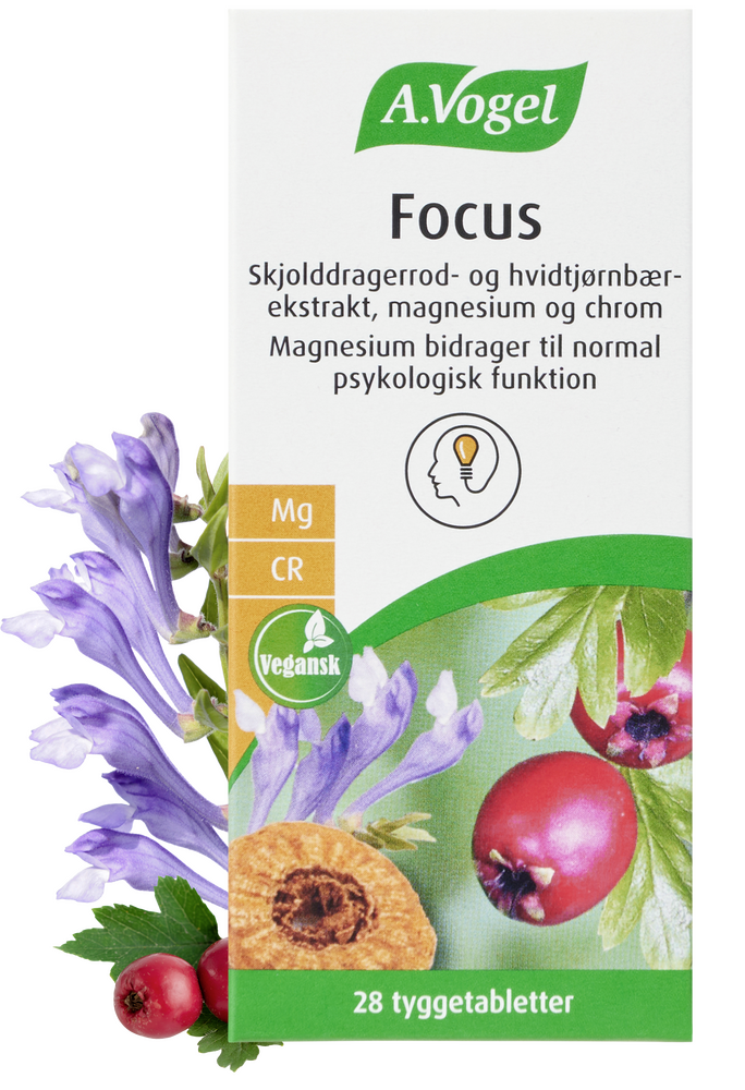 A Vogel Focus 28 Tyggetabl