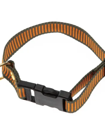 2 Farvet Halsbånd   Orange   Grøn Halsrem 25 Mm X 60 Cm
