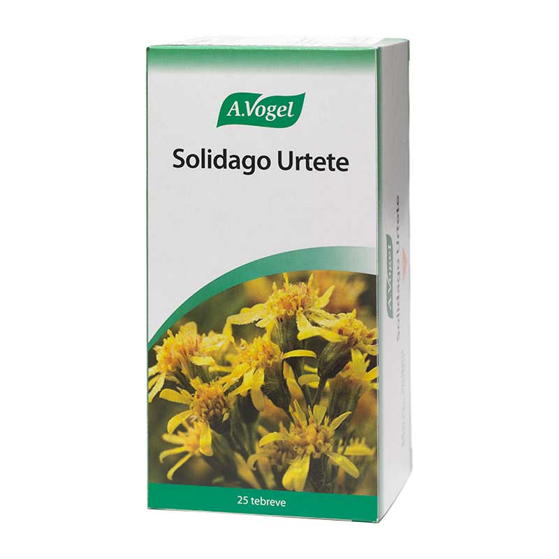 A Vogel Solidago Urtete  25breve