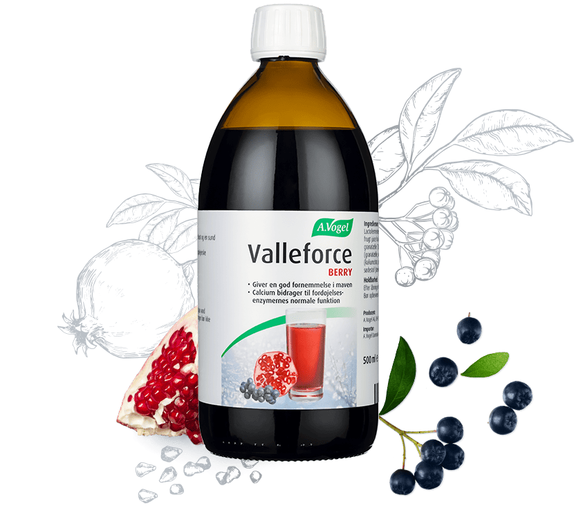 Valleforce Original Berry 500 Ml