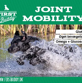 500 Gram Joint Mobility Til Hunde   Naturligt Glucosamin