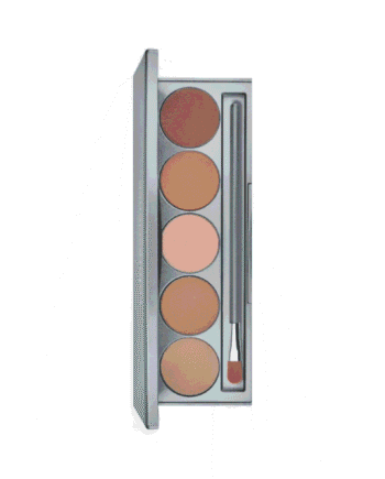 Colorescience Mineral Corrector Palette 12 G