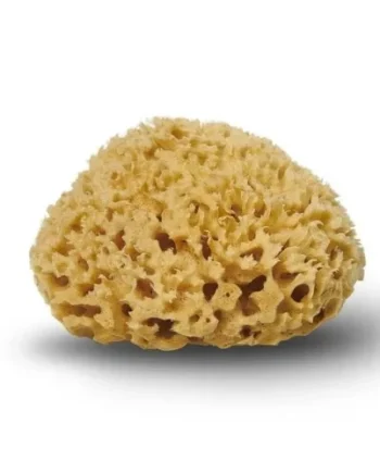 Cocoon Natursvamp Honeycomb 10 11 Cm  1 Stk