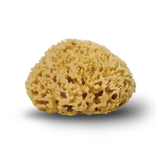 Cocoon Natursvamp Honeycomb 12 Cm  1 Stk