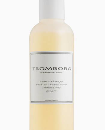 Tromborg Aroma Therapy Bath   Shower Wash Ginger 200ml