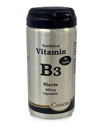 Camette B3 Vitamin Niacin 400mg  90tab