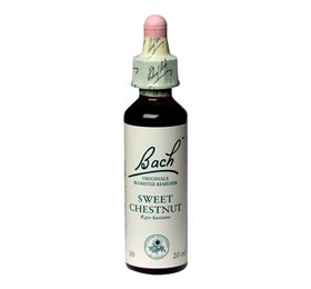 Mezina Bach ægte Kastanie  Sweet Chestnut  10ml    X