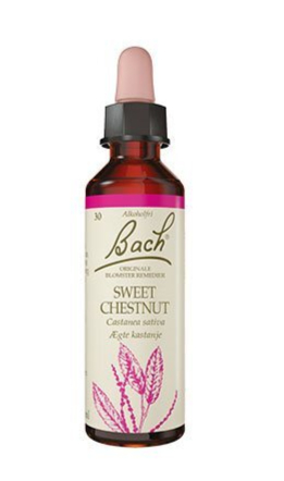 Bach ægte Kastanie  10ml