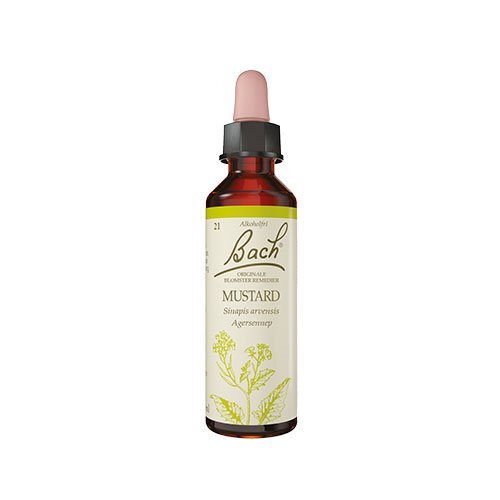 Bach Agersennep  10ml