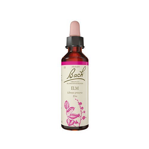 Bach Elm  10ml