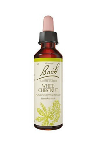Bach Hestekastajne  10ml