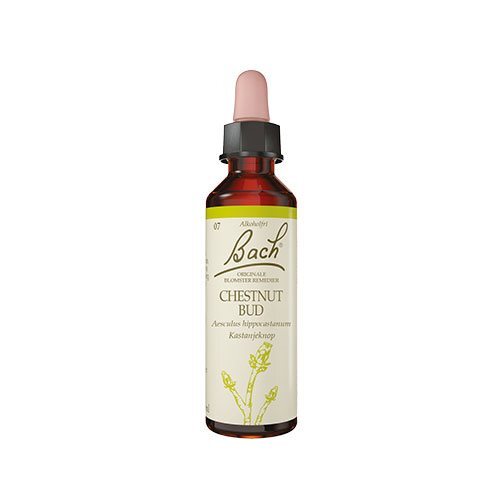 Bach Kastanieknop  10ml