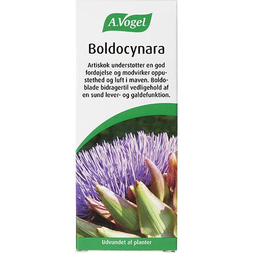 Boldocynara   50 Ml