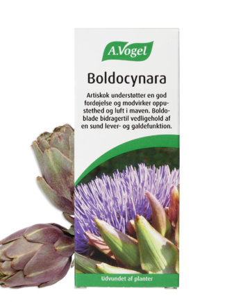 A Vogel Boldocynara Dråber 50 Ml   Bedst Før 11 2025