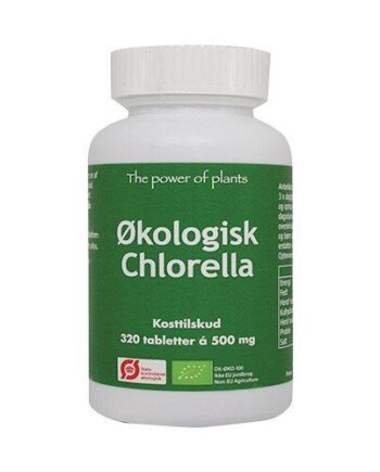 Chlorella ø  320tab