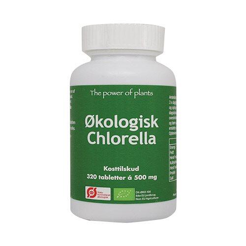 Chlorella ø  320tab