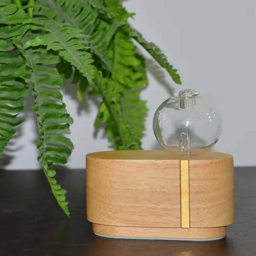 Apos Cimia Apos Træ Forstøver Diffuser Usb