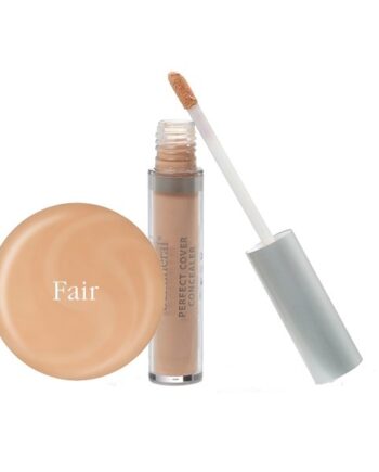 Bemineral Perfect Cover Concealer   Fair