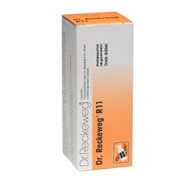 Dr  Reckeweg R 11  Bull  50 Ml