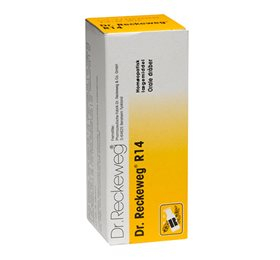 Dr  Reckeweg R 14  Bull  50 Ml