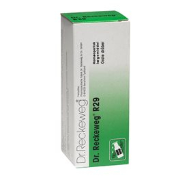 Dr  Reckeweg R 29  Bull  50 Ml