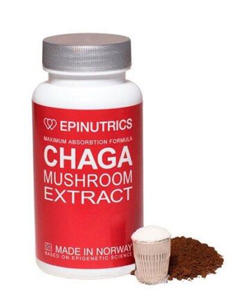 Epinutrics Epi Chaga  60kap