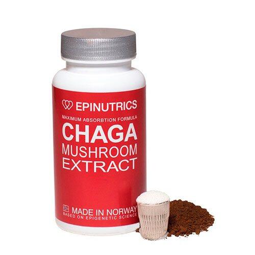 Epinutrics Epi Chaga  60kap