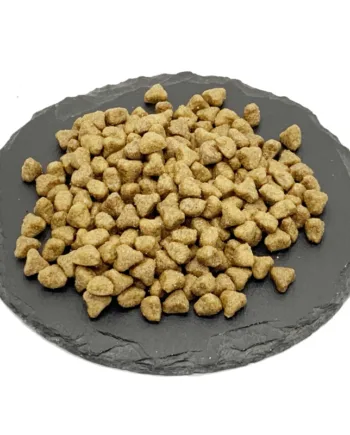 Foderprøve Probiotic Live Adult Cat   Kattefoder Med Lam