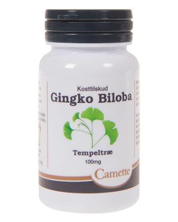 Camette Ginkgo Biloba 100 Mg  90 Stk
