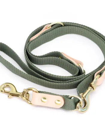 Grøn Hundesnor Med Karabinhage   Dressurline 25 Mm X 250 Cm I Webbing