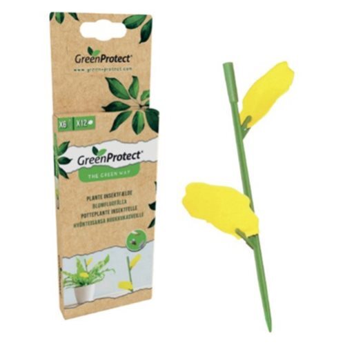 Green Protect Plante Insektfælde   1 Pk