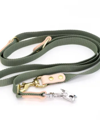 Grøn Hundesnor   Markprøveline Med Quickudløser 25mm X 250 Cm
